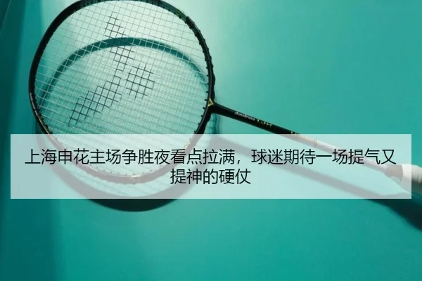 上海申花主场争胜夜看点拉满，球迷期待一场提气又提神的硬仗